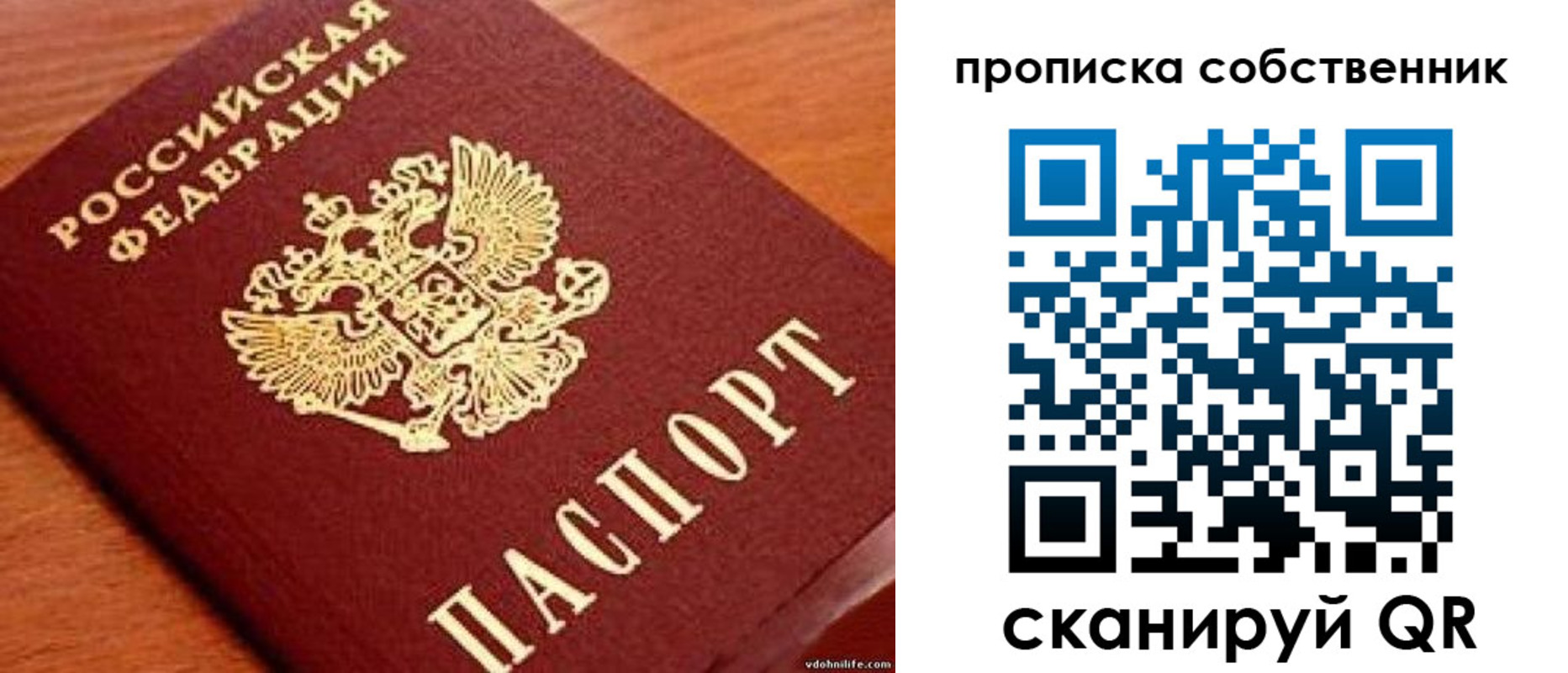 регистрация в Ленинградской области